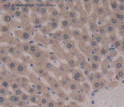 MyBioSource MBS2005235 image 3
