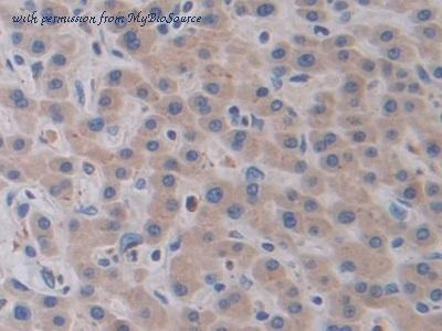 MyBioSource MBS2006015 image 3