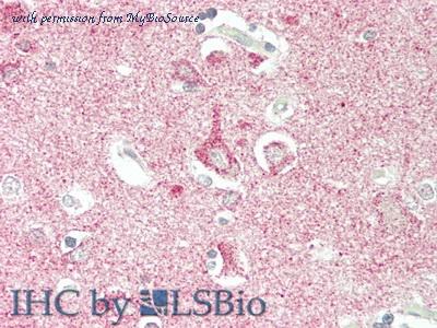 MyBioSource MBS2006458 image 2