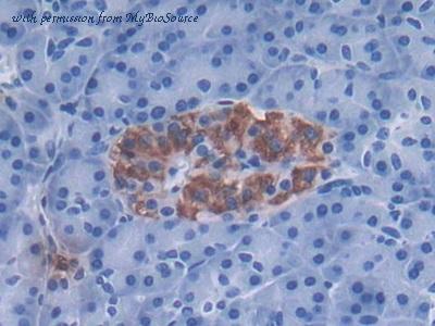 MyBioSource MBS2006635 image 2