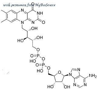 MyBioSource MBS2016610 image 1