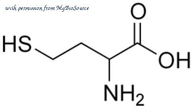 MyBioSource MBS2017143 image 1