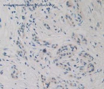 MyBioSource MBS2025738 image 2