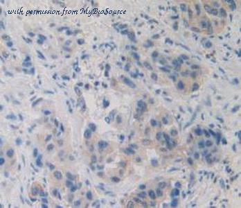 MyBioSource MBS2025738 image 3