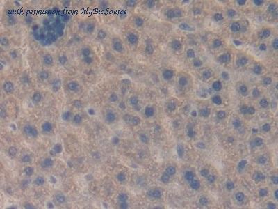 MyBioSource MBS2025792 image 3