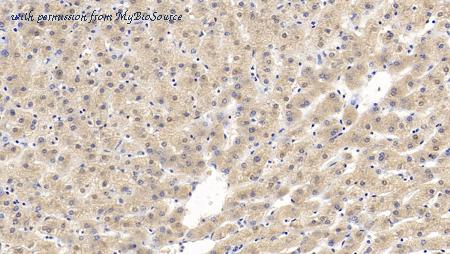 MyBioSource MBS2025844 image 2