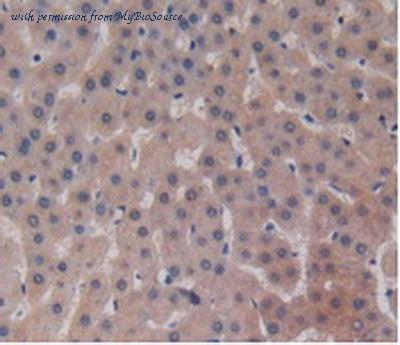 MyBioSource MBS2025844 image 3