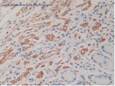 MyBioSource MBS2025901 image 3
