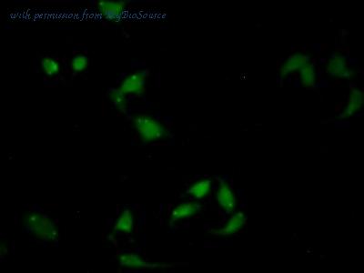 MyBioSource MBS2027588 image 3