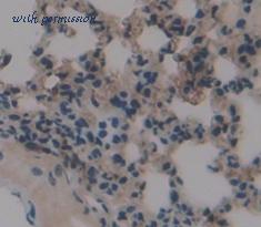 MyBioSource MBS2027631 image 3