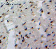 MyBioSource MBS2027769 image 3