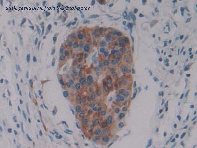 MyBioSource MBS2028566 image 3