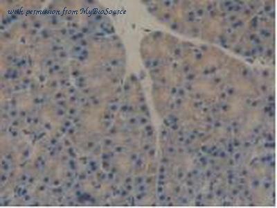 MyBioSource MBS2028572 image 2