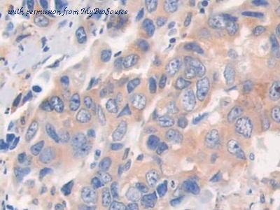 MyBioSource MBS2028735 image 3