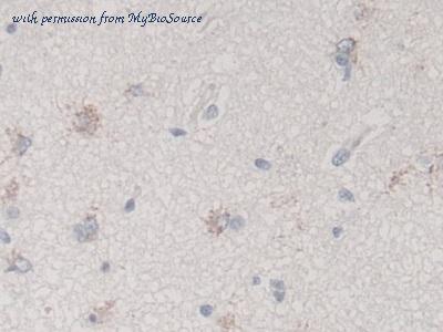 MyBioSource MBS2032042 image 3