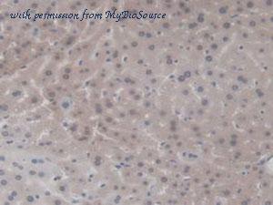 MyBioSource MBS2032063 image 3
