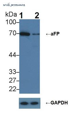 MyBioSource MBS2038911 image 1