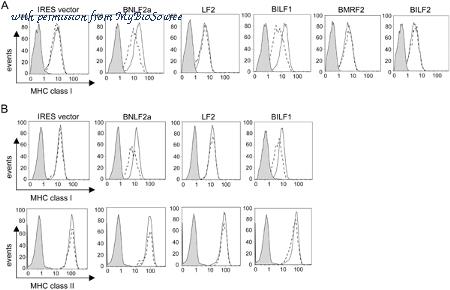 MyBioSource MBS211077 image 1
