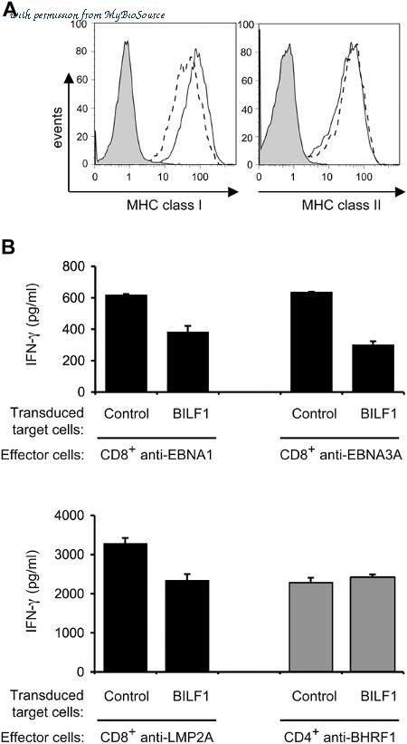 MyBioSource MBS211077 image 2