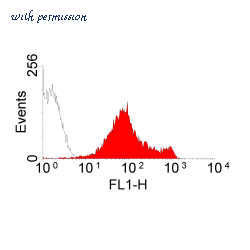 MyBioSource MBS214726 image 1