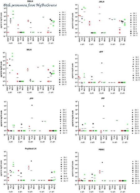 MyBioSource MBS215223 image 2