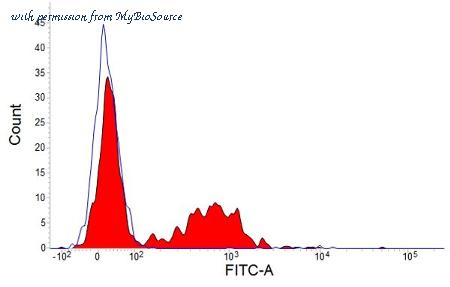 MyBioSource MBS224810 image 1