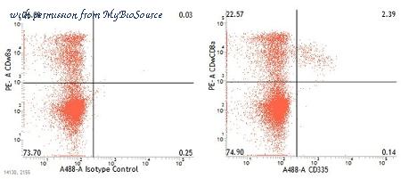 MyBioSource MBS224834 image 2