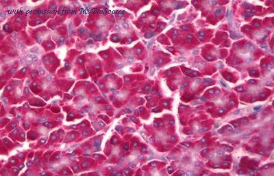 MyBioSource MBS246015 image 1