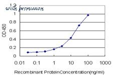 MyBioSource MBS246134 image 3