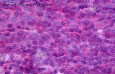 MyBioSource MBS246415 image 1