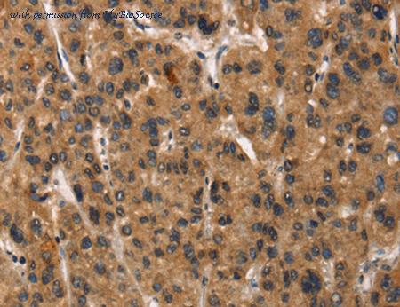 MyBioSource MBS2516798 image 1