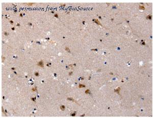 MyBioSource MBS2518067 image 1