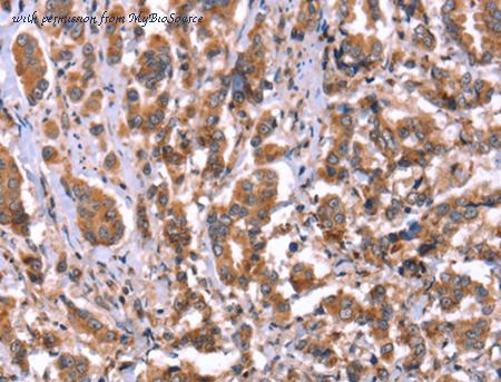 MyBioSource MBS2518243 image 1