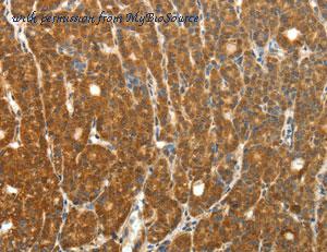 MyBioSource MBS2520173 image 3