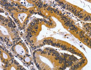MyBioSource MBS2520500 image 1