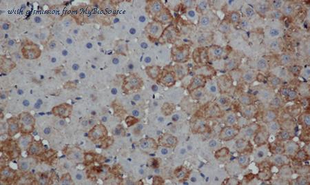 MyBioSource MBS2521613 image 1