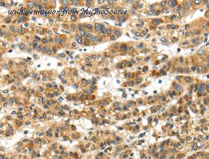MyBioSource MBS2522483 image 1