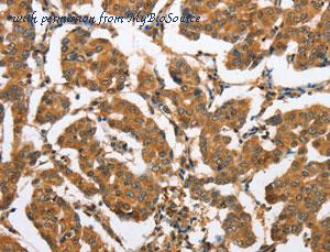 MyBioSource MBS2522738 image 1
