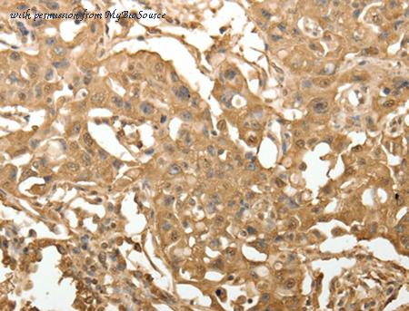 MyBioSource MBS2522962 image 2