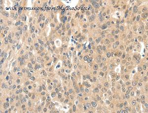 MyBioSource MBS2523122 image 1