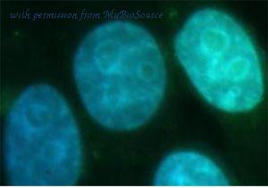 MyBioSource MBS2525270 image 3