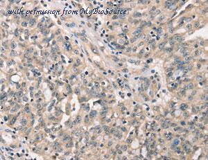 MyBioSource MBS2525453 image 1