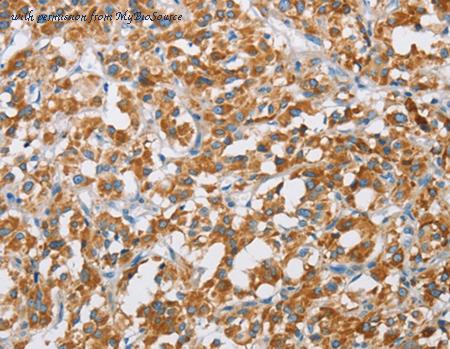 MyBioSource MBS2527621 image 1