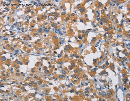MyBioSource MBS2528978 image 1