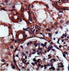 MyBioSource MBS2529340 image 2