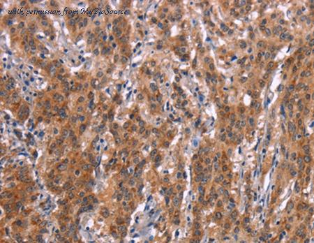 MyBioSource MBS2529678 image 1