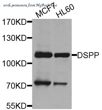 MyBioSource MBS2541229 image 1