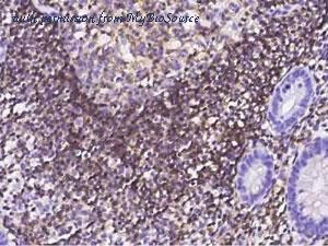 MyBioSource MBS2544315 image 1