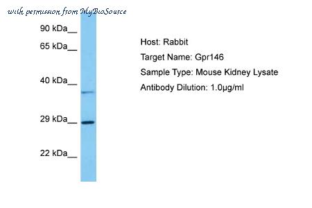 MyBioSource MBS3223817 image 1