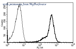 MyBioSource MBS335060 image 1